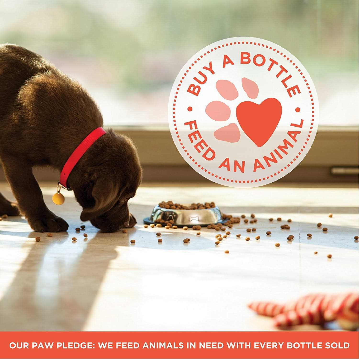 Skout's Honor Cat Urine & Odor Destroyer - Image 3