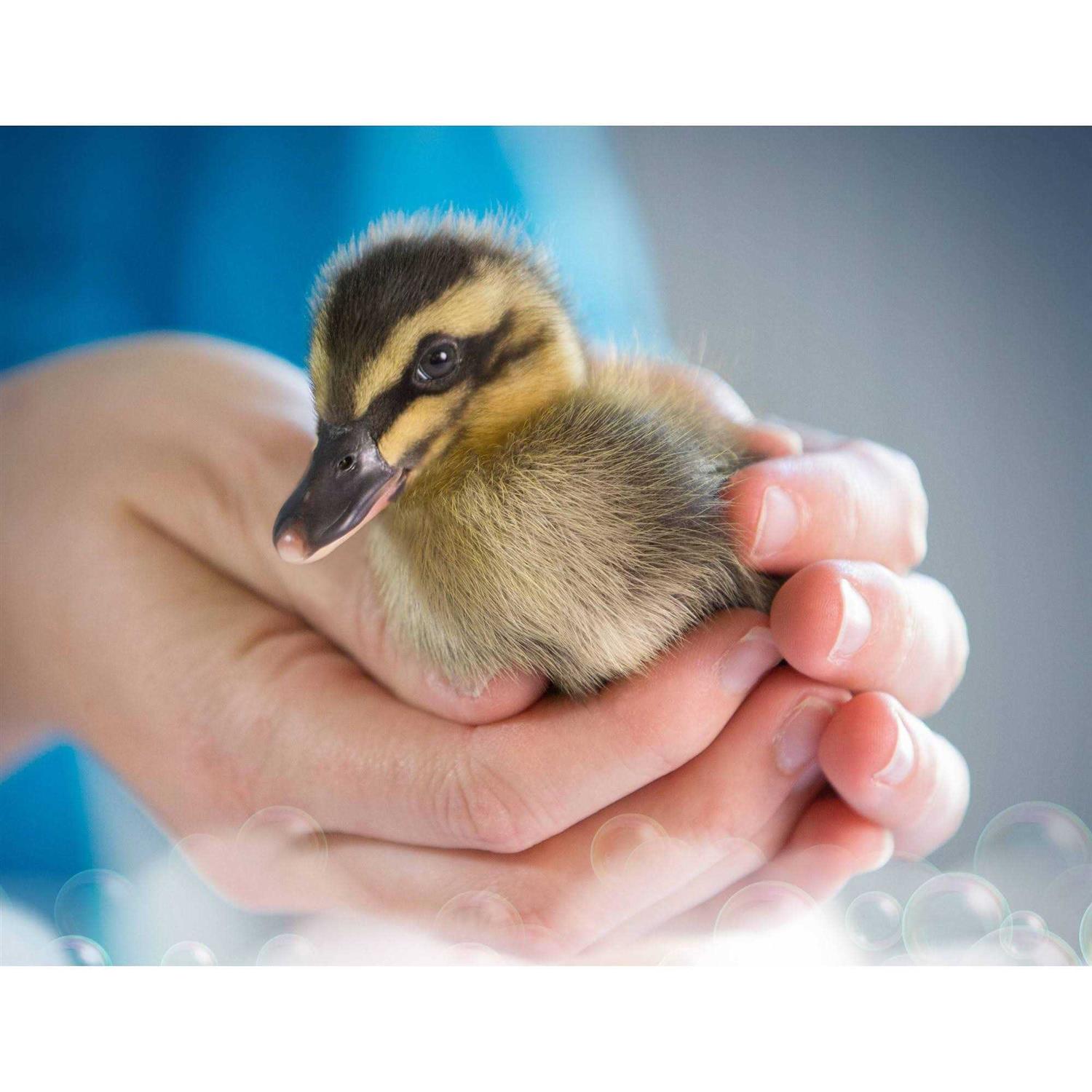 Dawn Ultra Original Dishwashing Liquid Dish Soap - Image 3