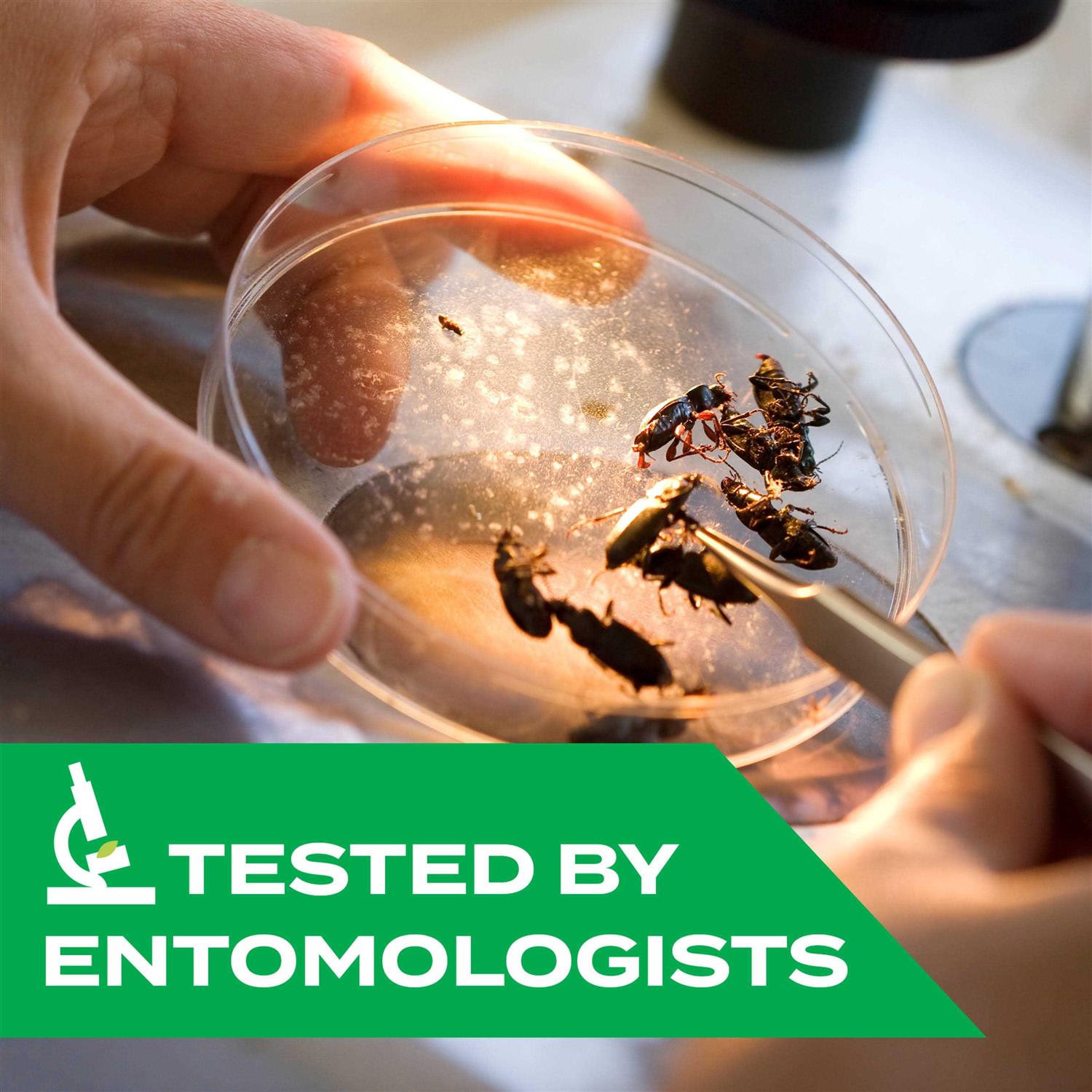 Stem Kills Flies, Mosquitoes and Gnats - Image 5