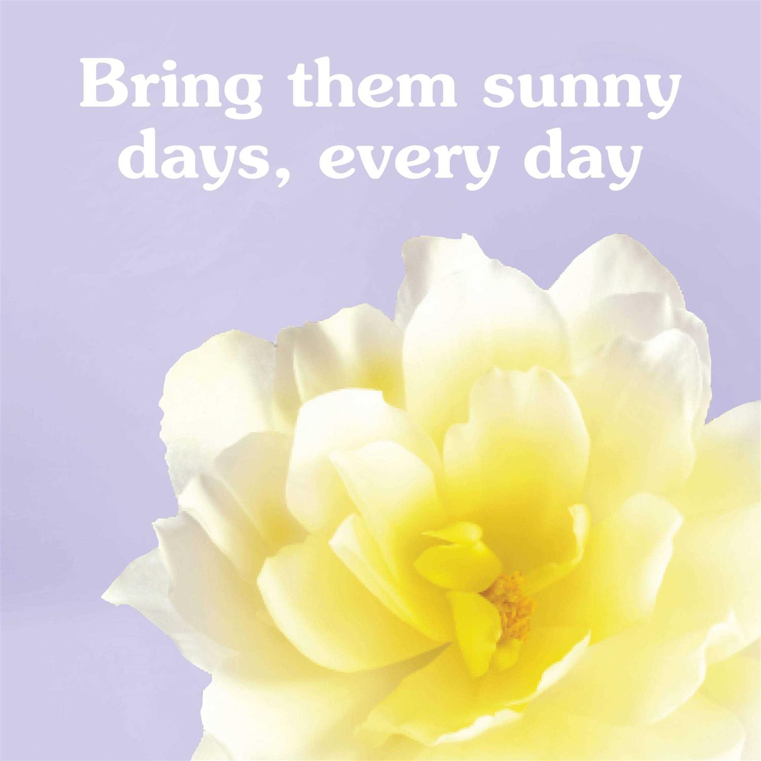 Suavitel Fabric Conditioner Morning Sun - Image 3