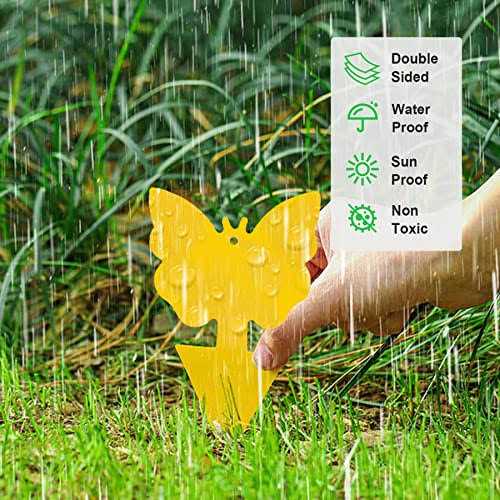 Shapes Yellow Sticky Traps for Fruit Fly, Whitefly, Fungus Gnat, Mosquito and Fly - Image 4