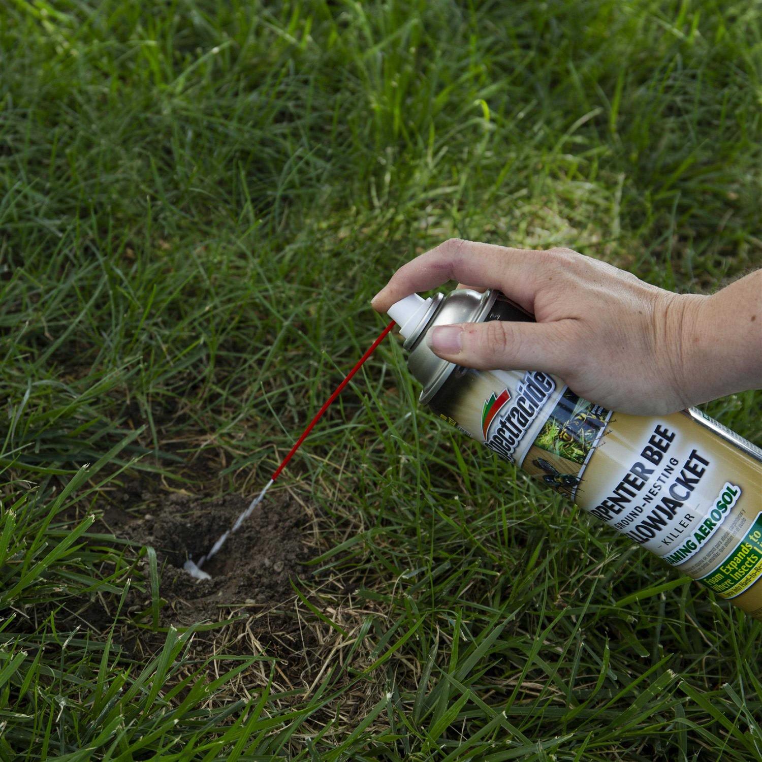 Spectracide Carpenter Bee Yellowjacket Killer - Image 5