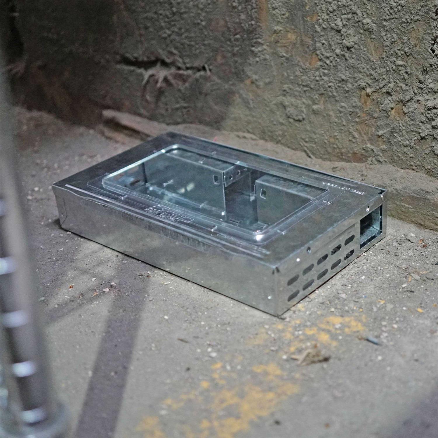 Southern Homewares Multi-Catch Clear Top Humane Repeater Mouse Trap - Image 4