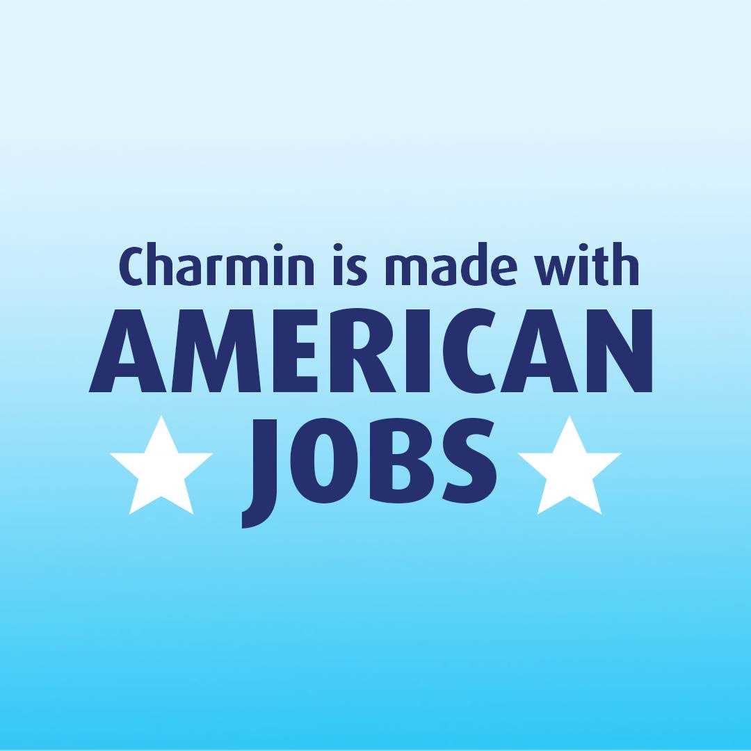 Charmin Ultra Strong Toilet Paper - Image 5