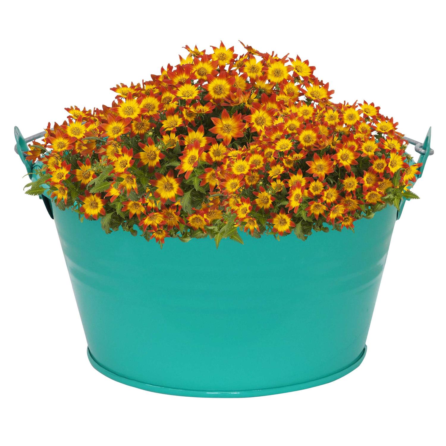 Sunnydaze Galvanized Steel Bucket Planter with Handle - Image 4