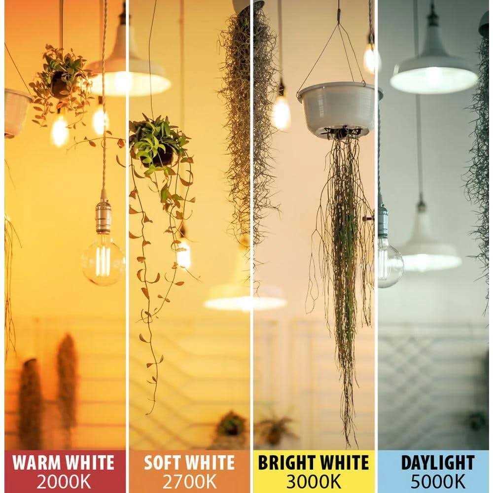 Feit Electric Filament LED Bulb ST19 E26 - Image 3