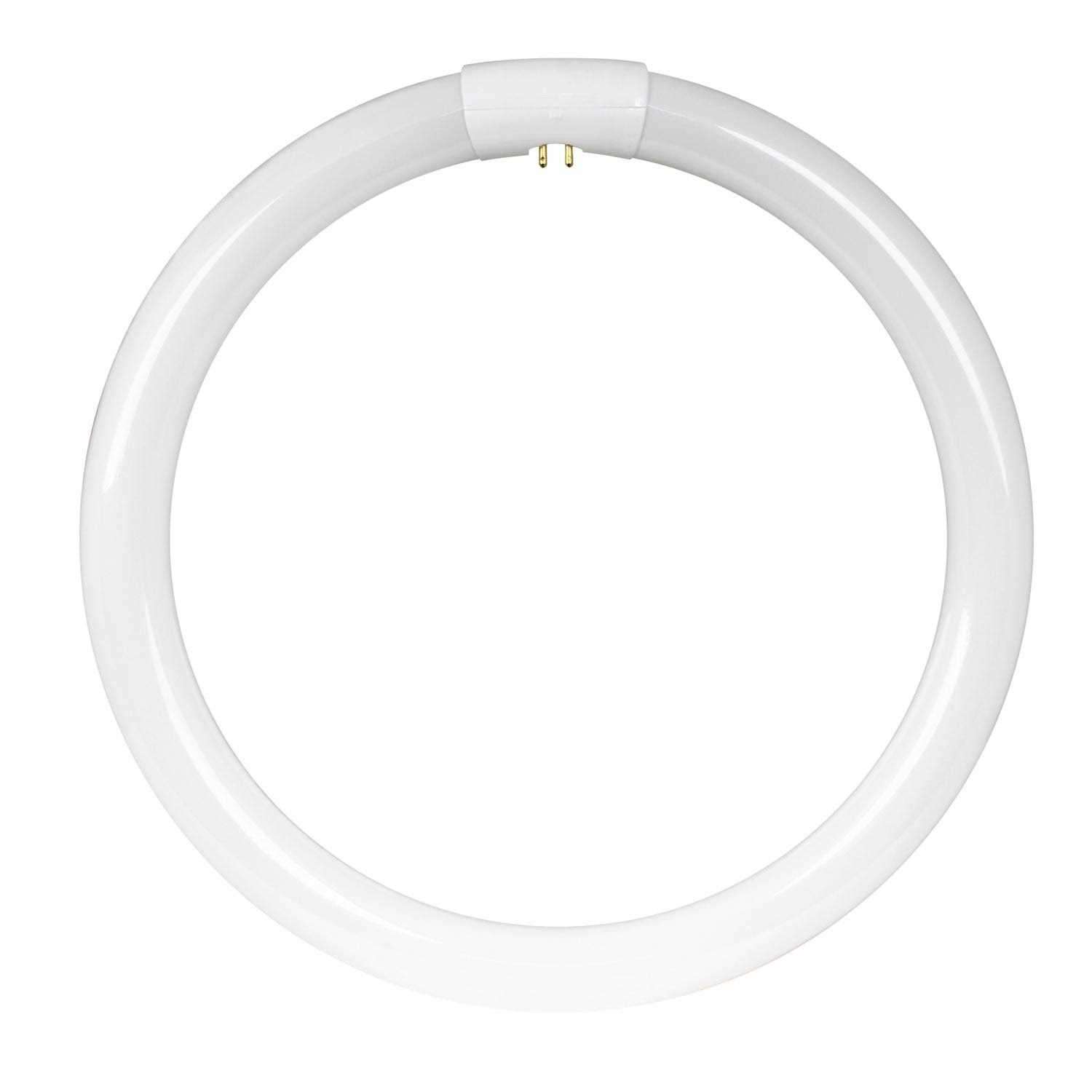 Feit Electric FC12T9/ T9 Circular Fluorescent Bulb - Image 5