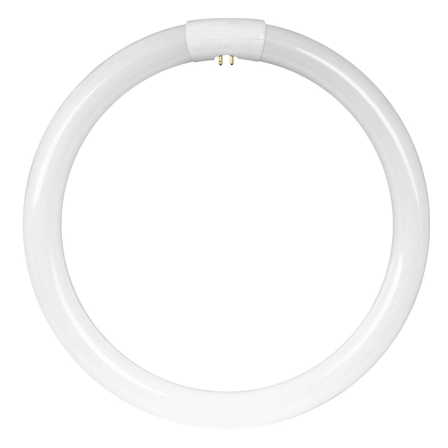 Feit Electric FC12T9/ T9 Circular Fluorescent Bulb - Image 4