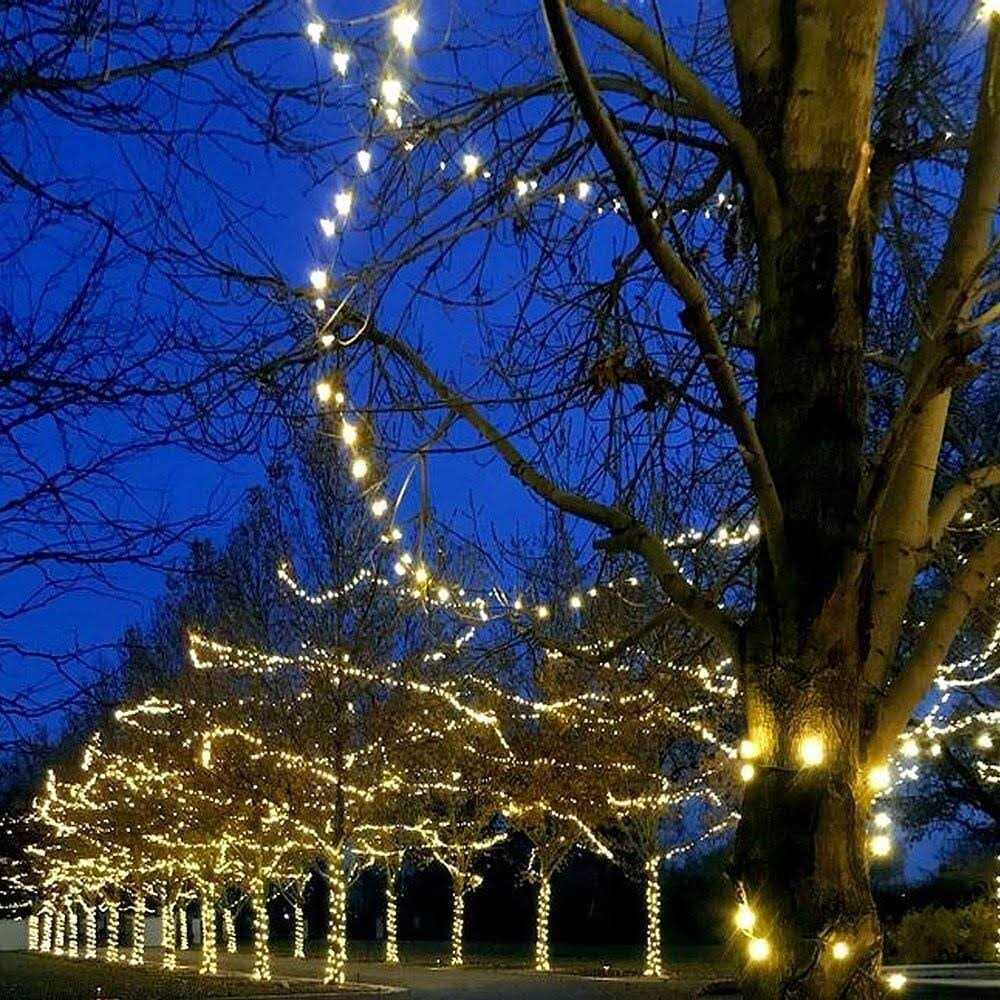 Novelty Lights 35 Light T5 Traditional LED Christmas Mini Light Set - Image 4