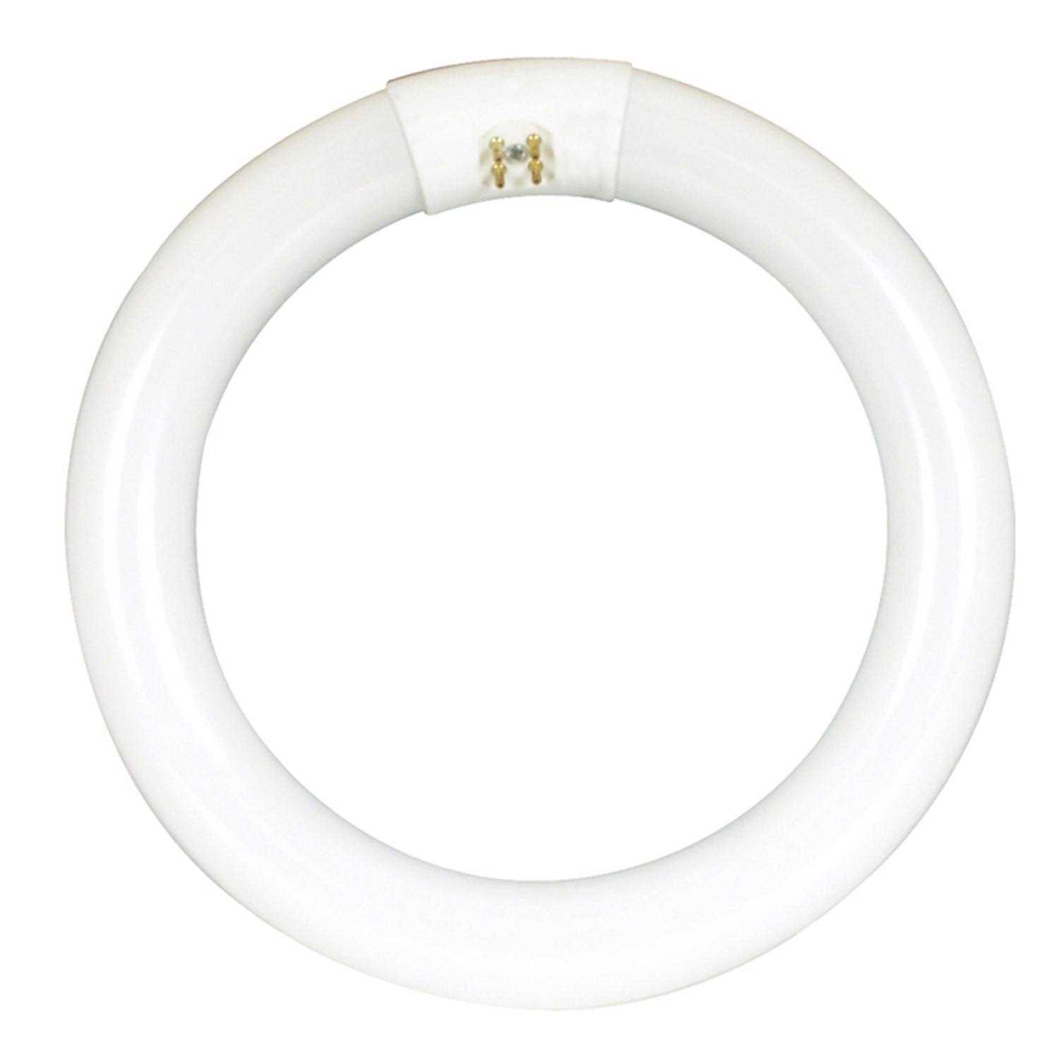 Feit Electric FC8T9/CW T9 Circular Fluorescent Bulb 22W White - Image 3