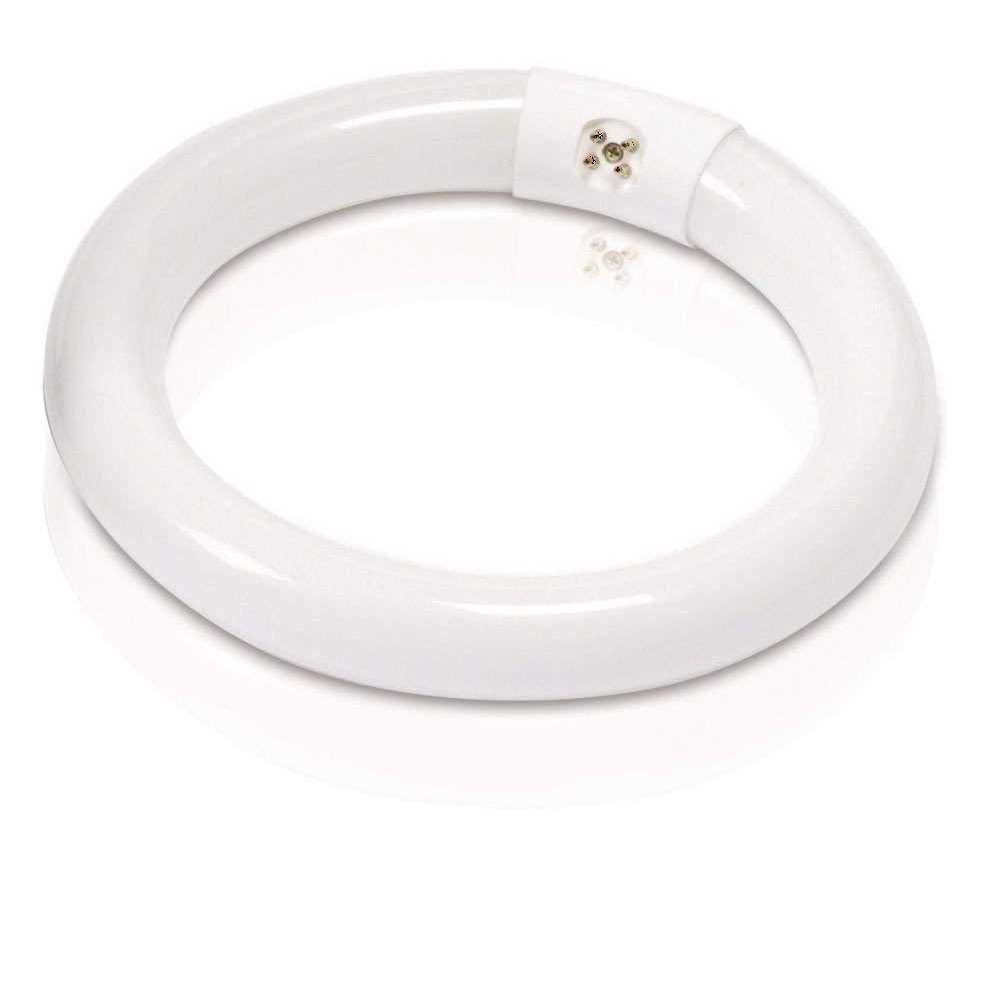 Philips T9 4-Pin Circline Fluorescent Tube Light Bulb - Image 4
