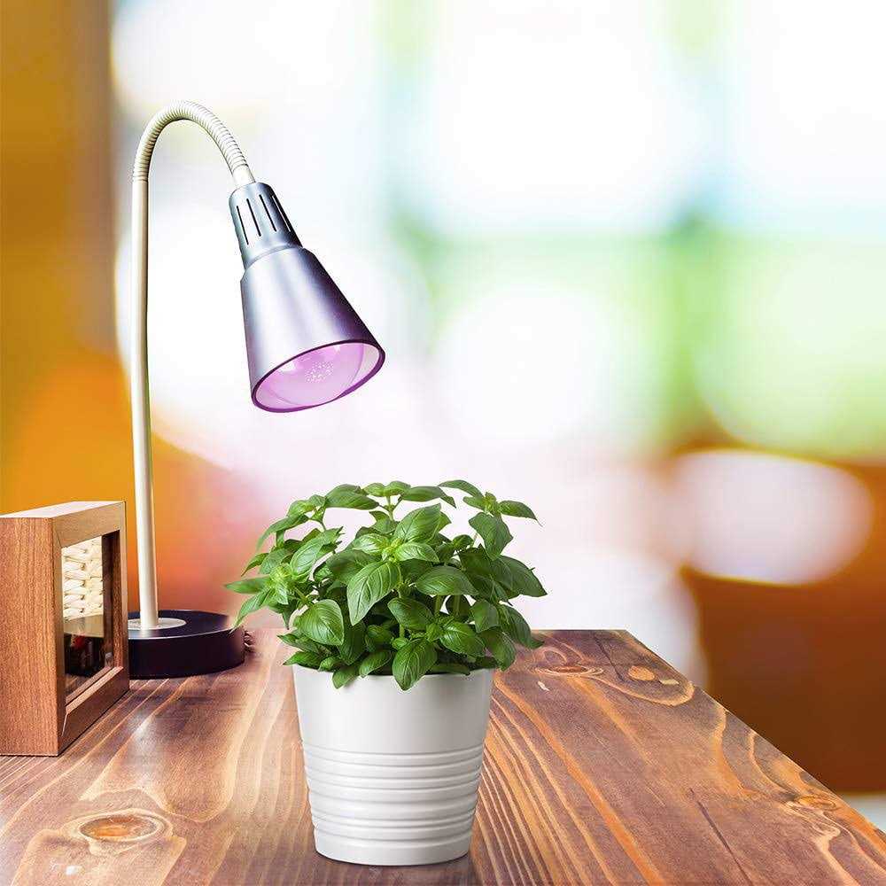Feit Electric A19 LED Plant Grow Light - Image 4