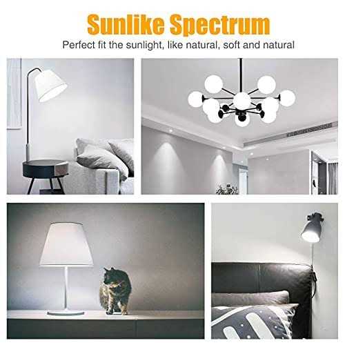 Neporal Full Spectrum Light Bulb 6000k Natural Sunlight Bulbs Cool W - Image 4