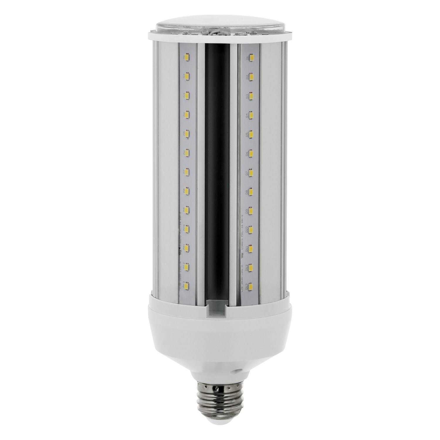 Feit Electric Light Bulb LED - Image 3