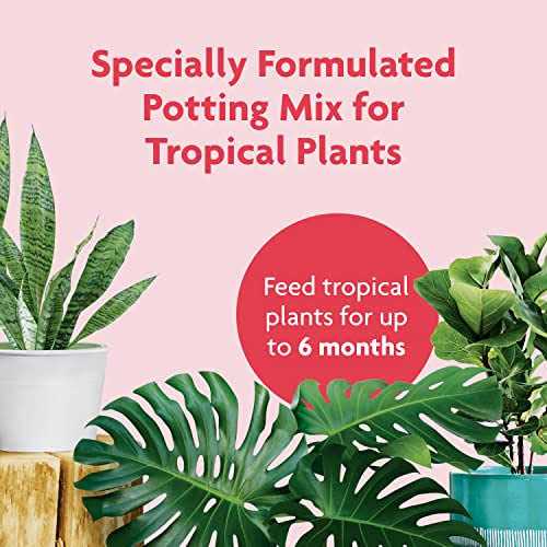Miracle-Gro Tropical Potting Mix - Image 4