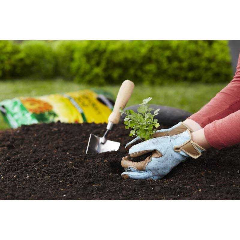 Miracle Gro All Purpose Garden Soil - Image 4