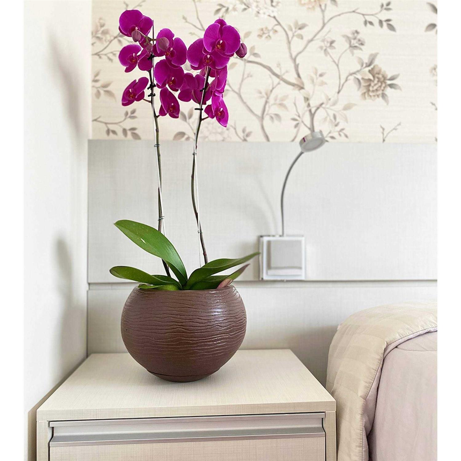 Florence Polyethylene Resin Pot Planter Floridis - Image 3