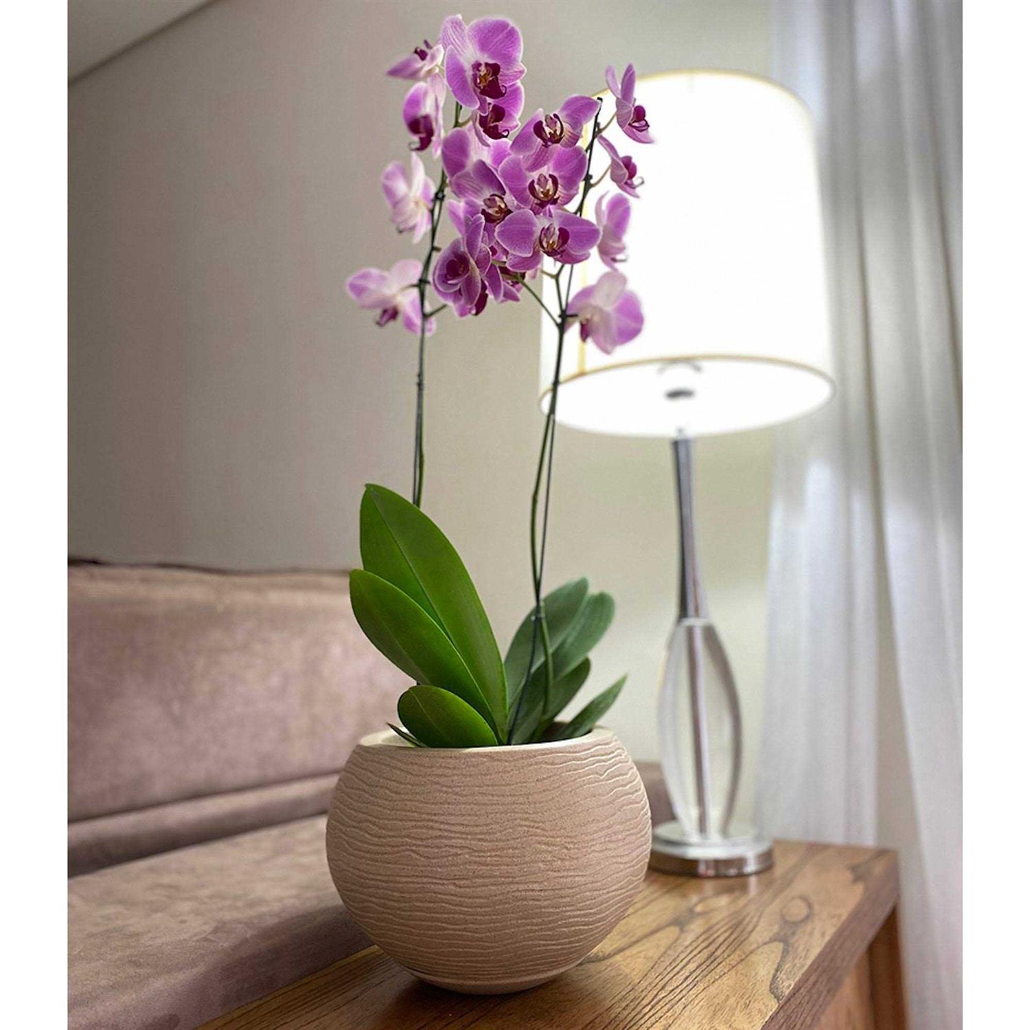 Florence Polyethylene Resin Pot Planter Floridis - Image 4