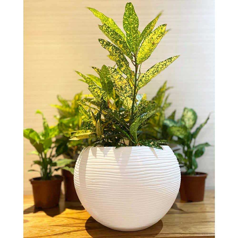Florence Polyethylene Resin Pot Planter Floridis - Image 3
