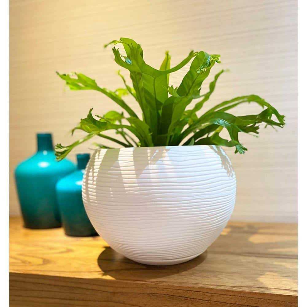 Florence Polyethylene Resin Pot Planter Floridis - Image 4