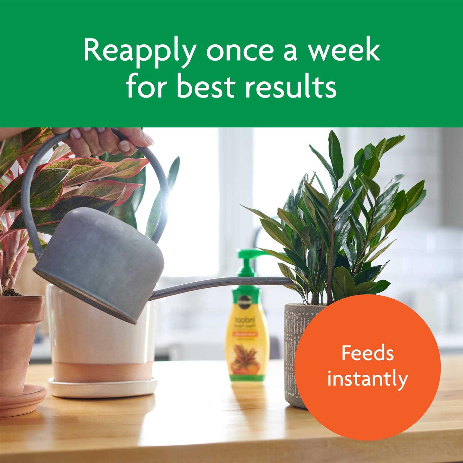 Miracle Gro Indoor Plant Food - Image 4