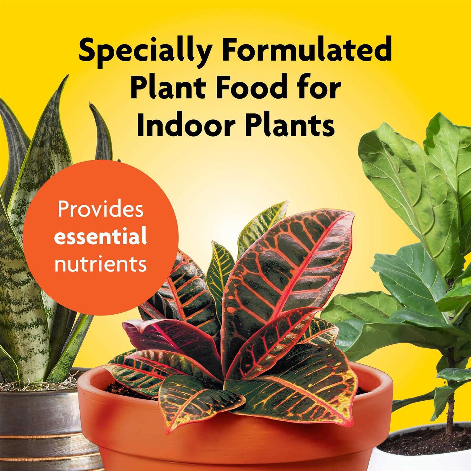 Miracle Gro Indoor Plant Food - Image 5