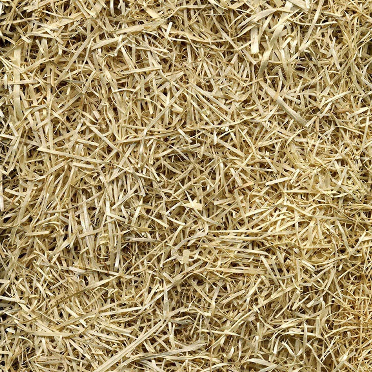 EZ Straw Seeding Mulch - Image 4