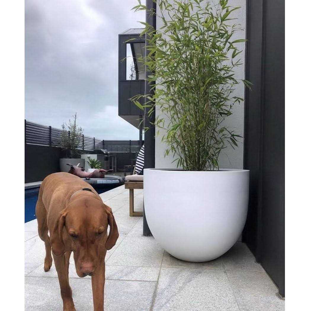 Dorlis Fiberstone Pot Planter Orren Ellis - Image 3