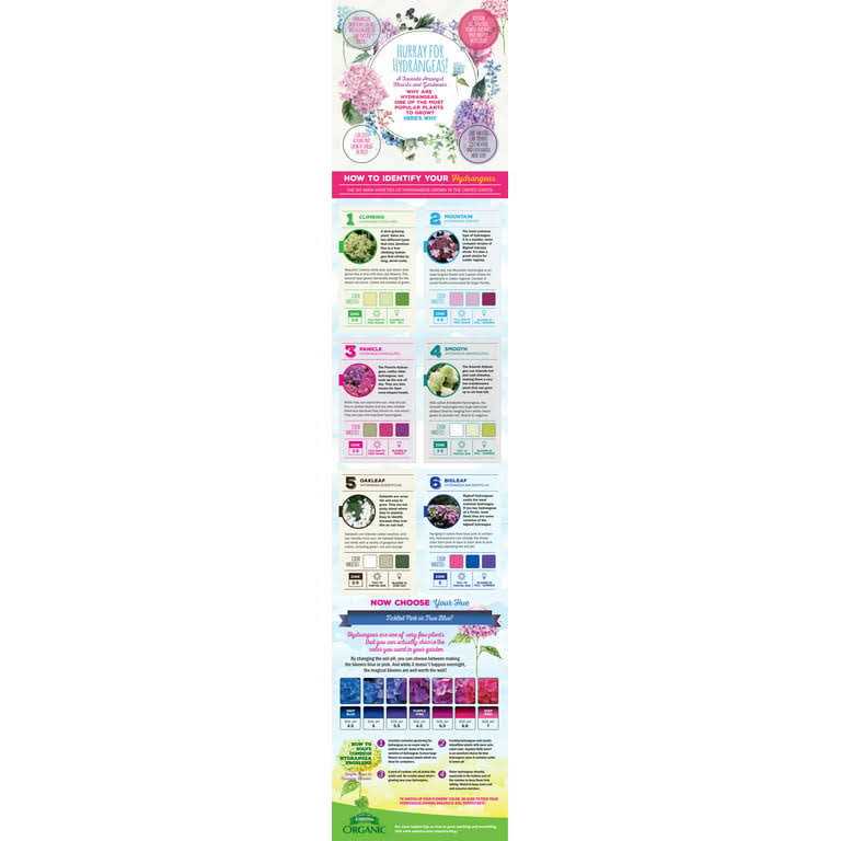 Espoma Holly-Tone Food - Image 4