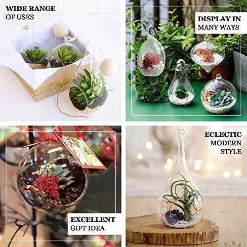 Floral Garden 4 Clear Plastic Terrarium Globes - Image 3