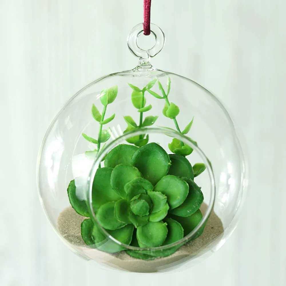 Floral Garden 4 Clear Plastic Terrarium Globes - Image 4