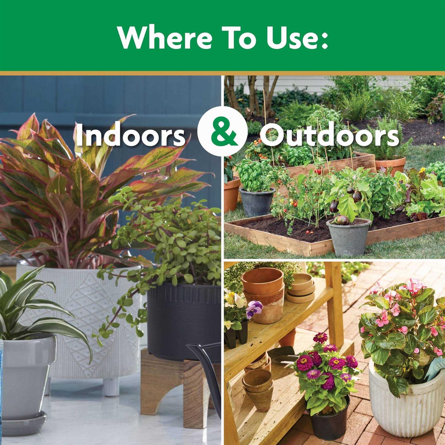 Miracle Grow 1000282 Water Soluble All Purpose Plant Food 3 lbs. - Image 3