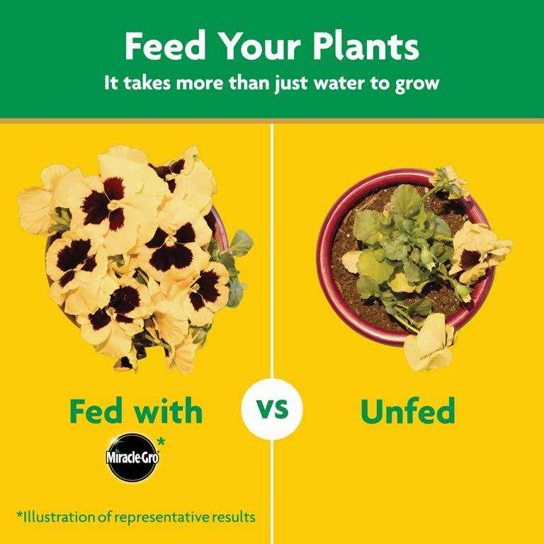 Miracle Grow 1000282 Water Soluble All Purpose Plant Food 3 lbs. - Image 5