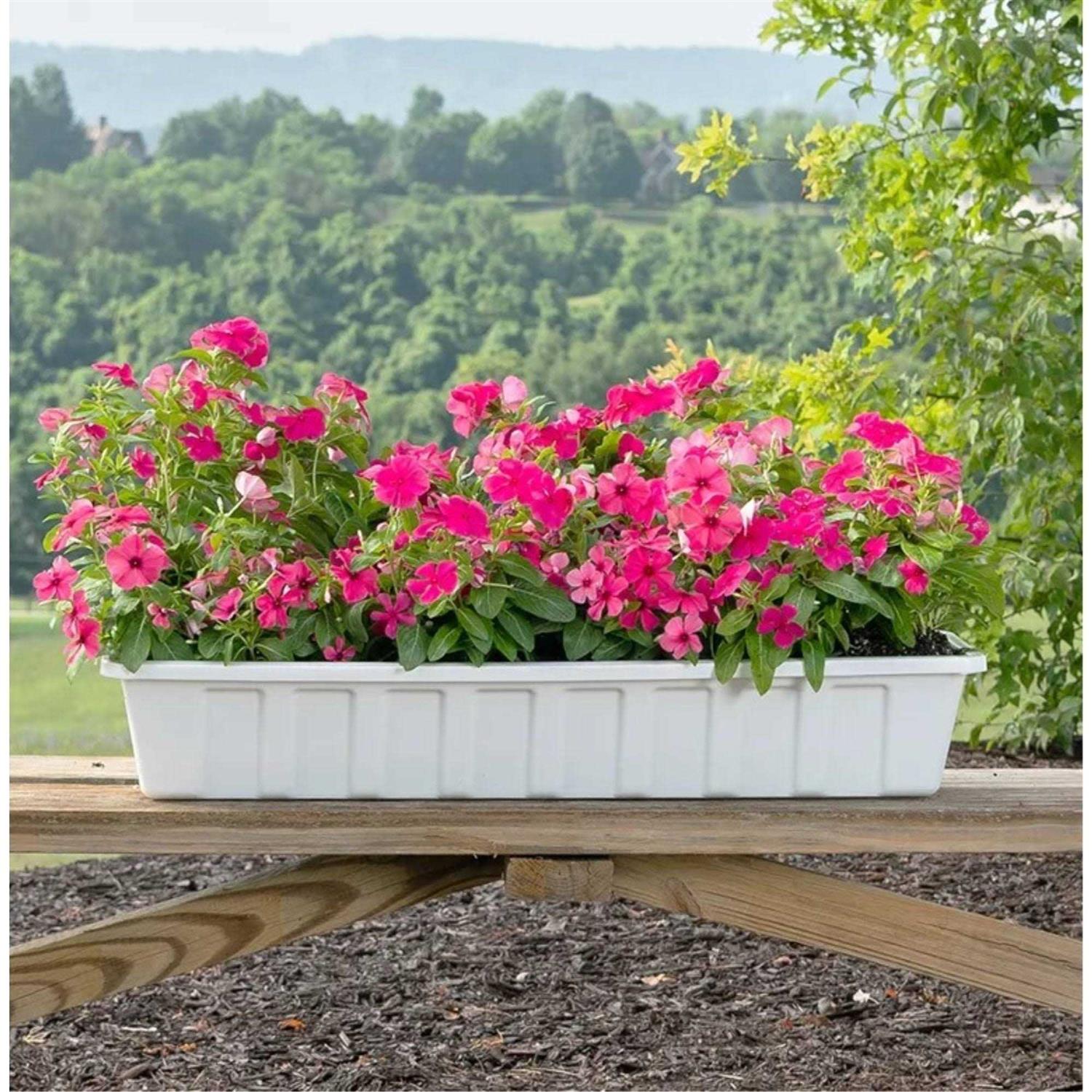 Novelty Poly-Pro Plastic Flower Box Planter - Image 3