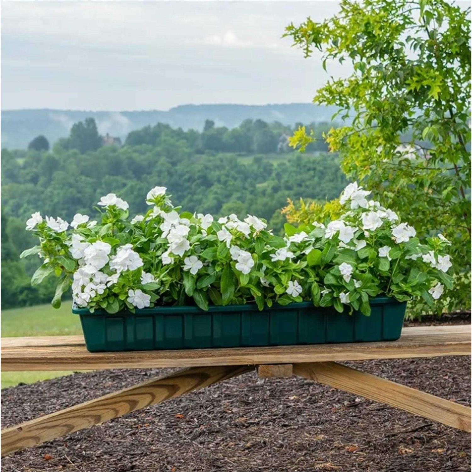 Novelty Poly-Pro Plastic Flower Box Planter - Image 4