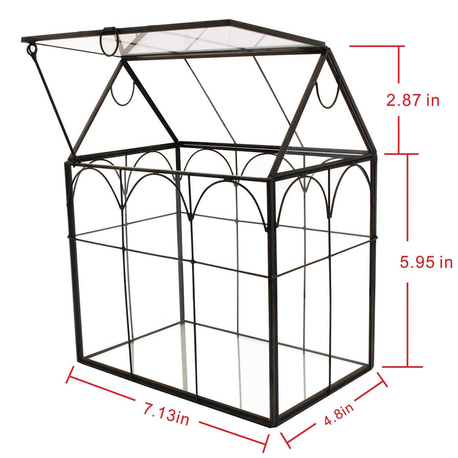 ELEGANTLIFE Glass Geometric Plant Terrarium,Succulent & Air Planter for Home Garden Office Decoration - Image 3