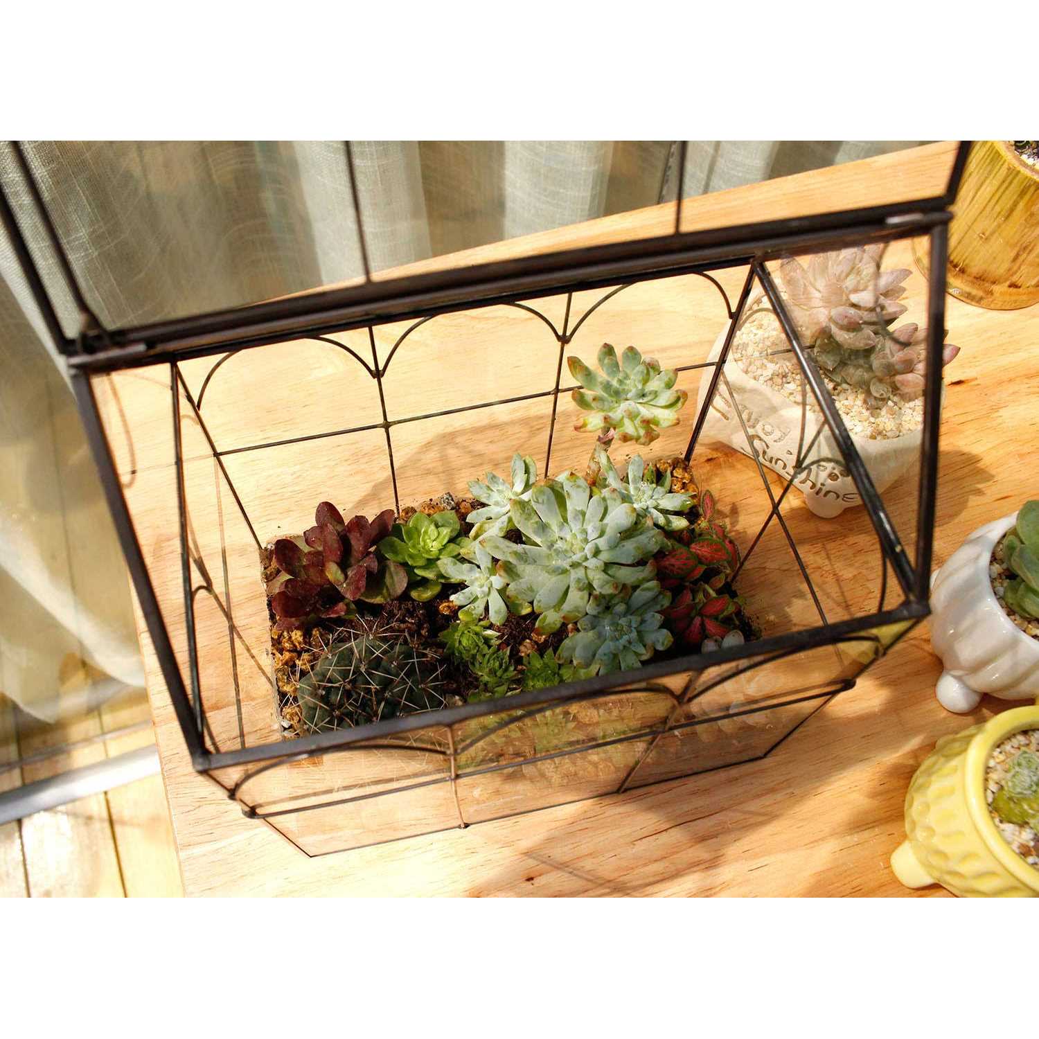 ELEGANTLIFE Glass Geometric Plant Terrarium,Succulent & Air Planter for Home Garden Office Decoration - Image 4