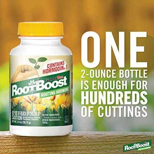 RootBoost Rooting Hormone Powder - Image 4