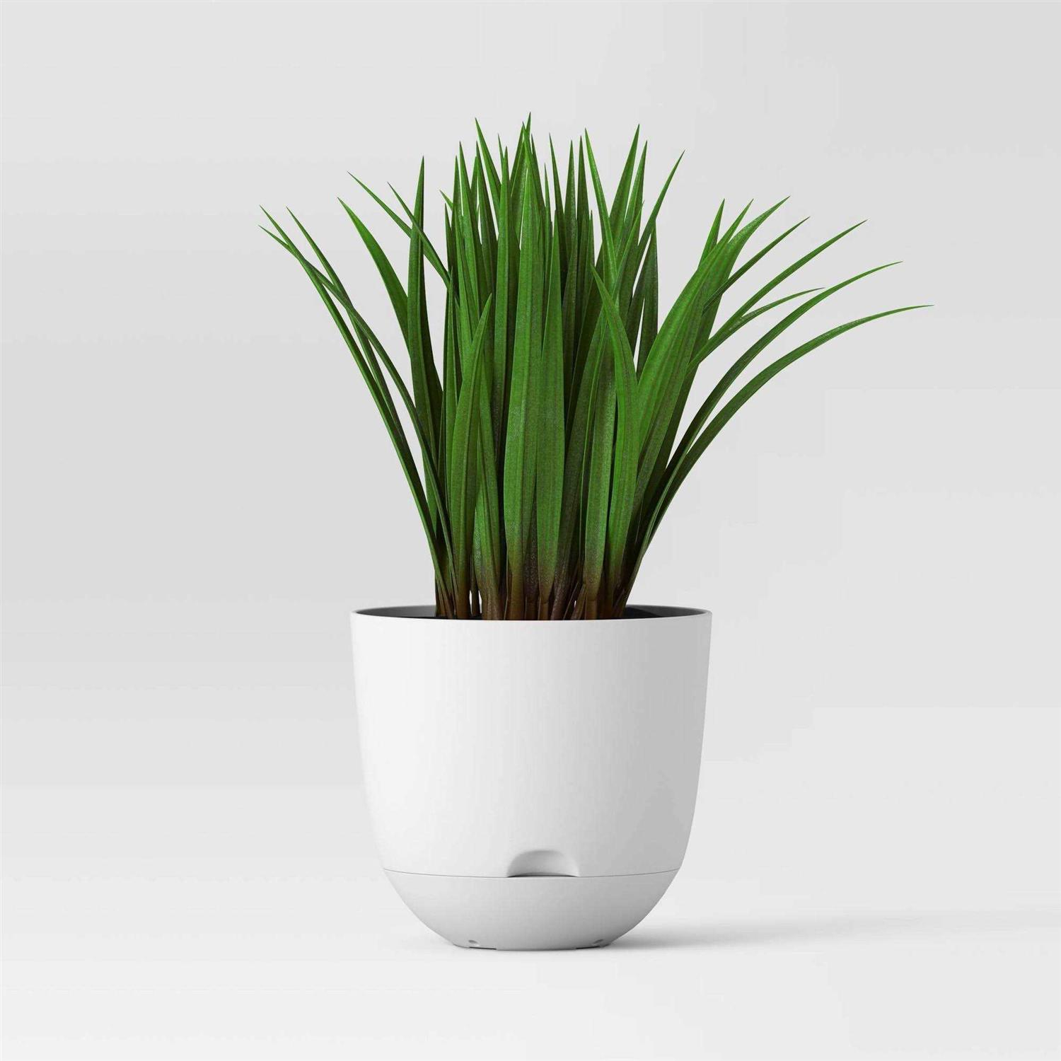 Room Essentials Wide Self-Watering Indoor Outdoor Planter Pots - Image 3