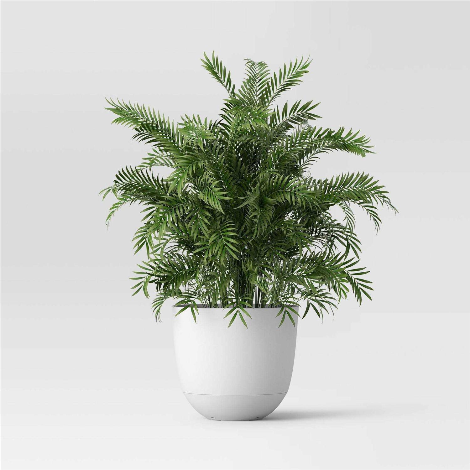 Room Essentials Wide Self-Watering Indoor Outdoor Planter Pots - Image 4