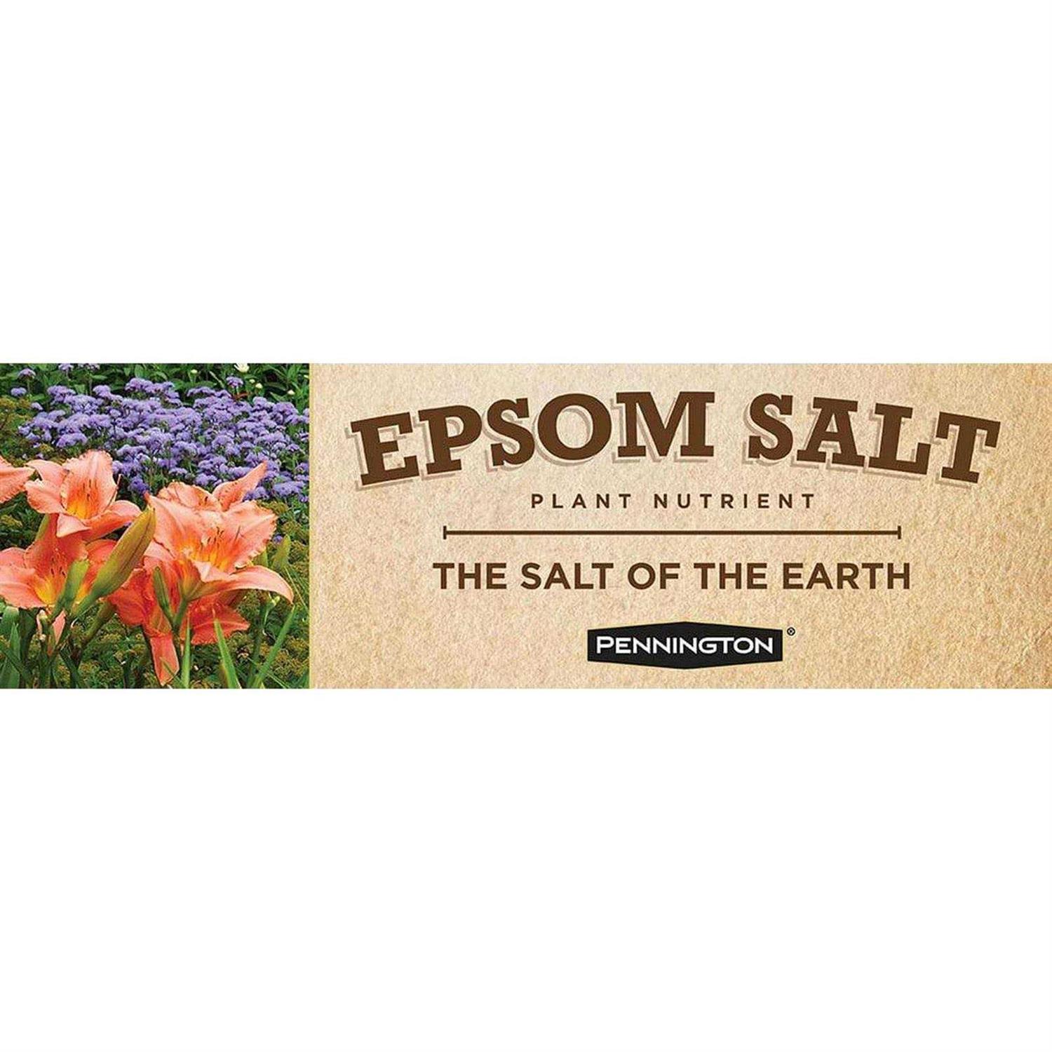 Pennington Epsom Salt - Image 3