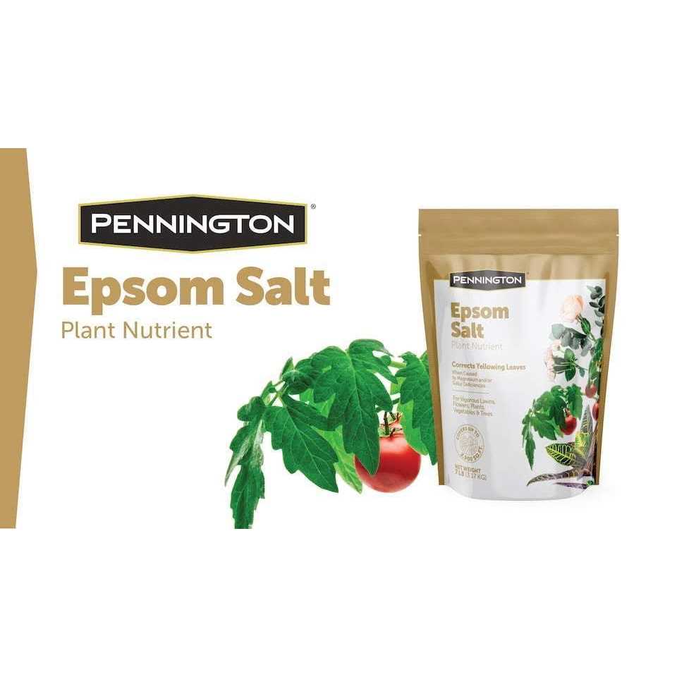 Pennington Epsom Salt - Image 5