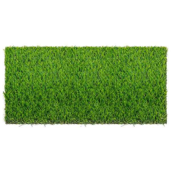 Nance Carpet and Rug Premium Turf - Image 4