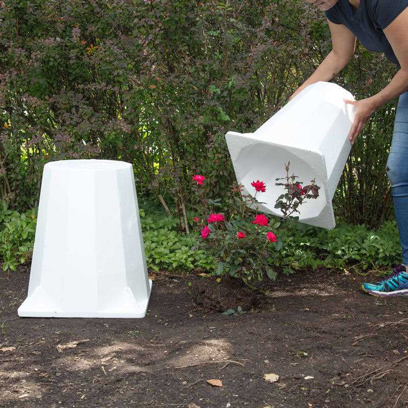 Gardien Rose Cone 16X16X18 - Image 4