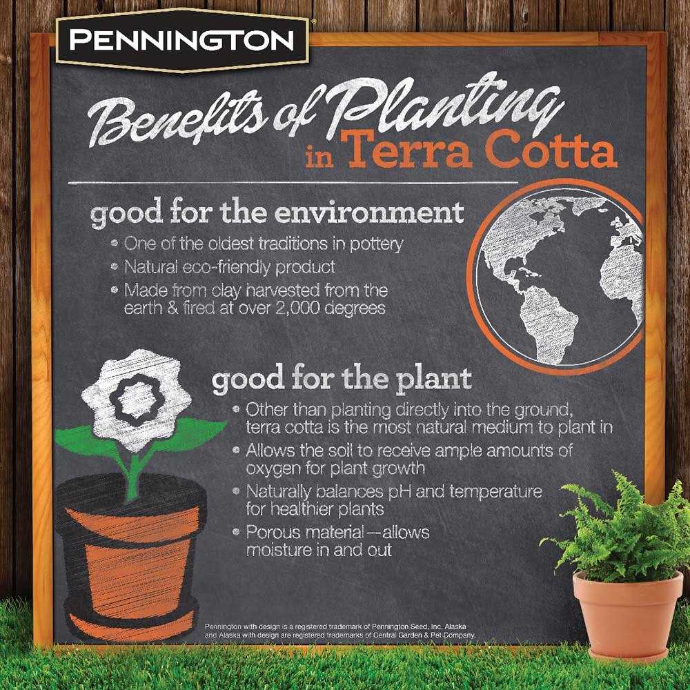 Pennington Terra Cotta Clay Pot - Image 4