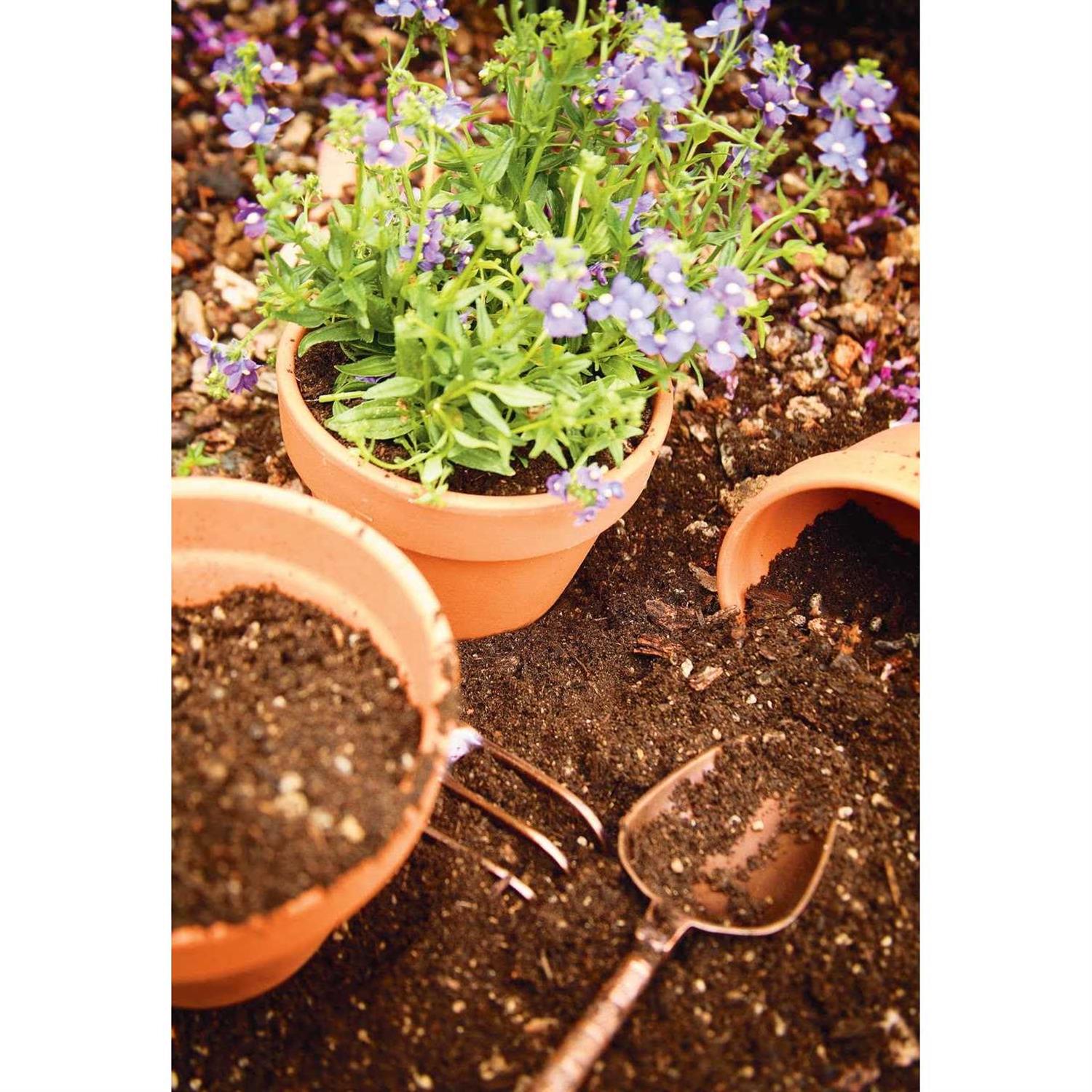 Pennington Terra Cotta Clay Pot - Image 5