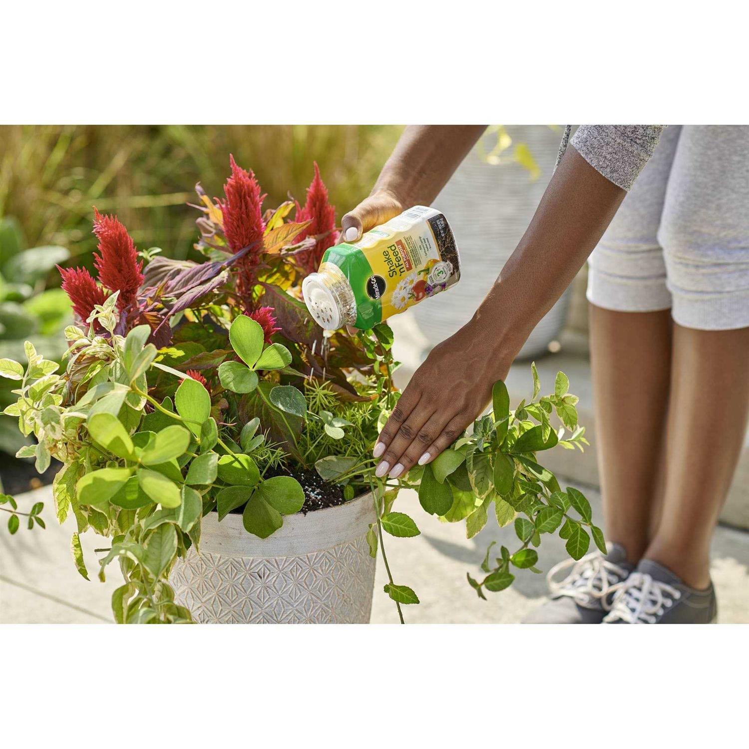 Miracle Gro Shake N Feed All Purpose Plant Food - Image 5