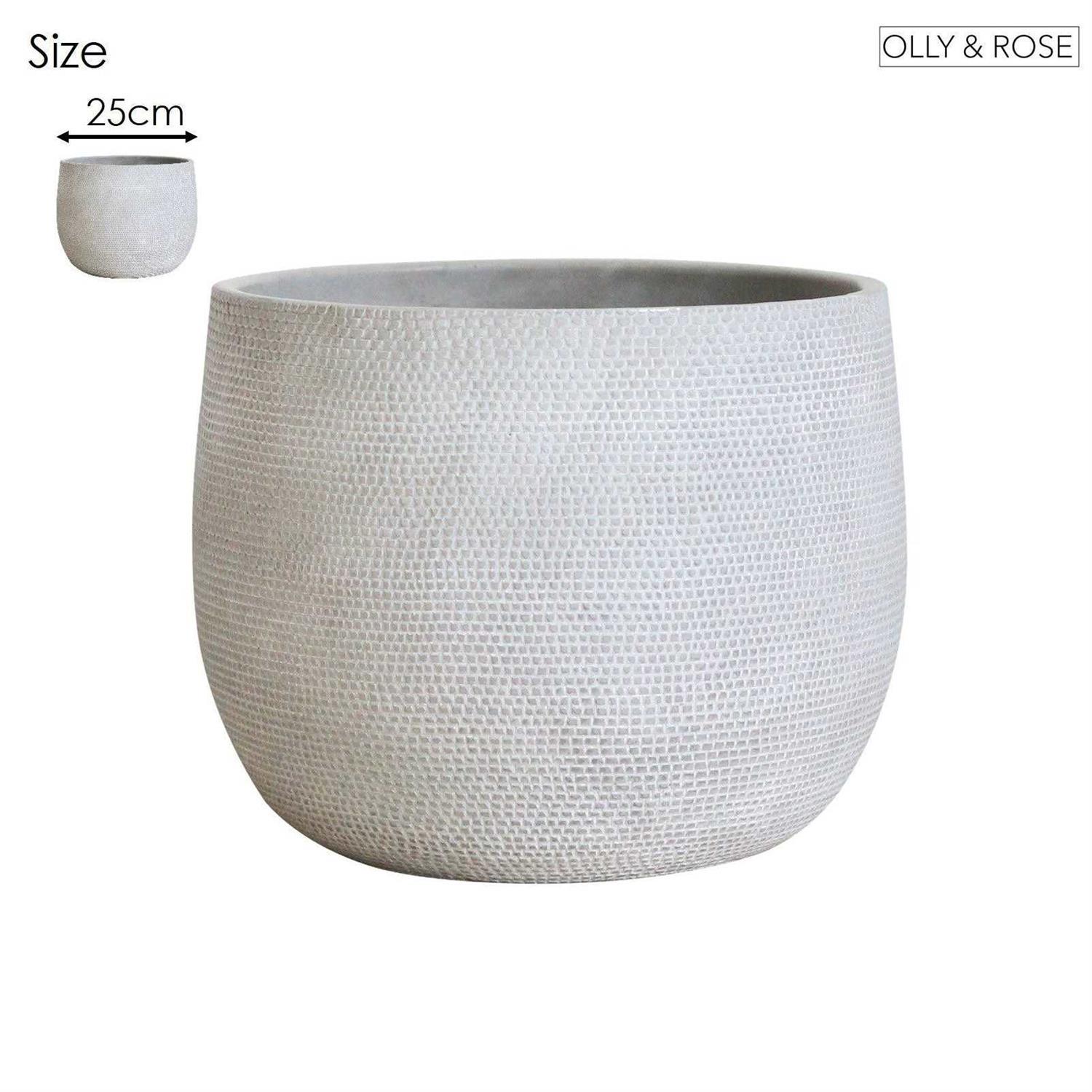Olly & Rose Ceramic Plant Pot Large 10 inch - Image 3