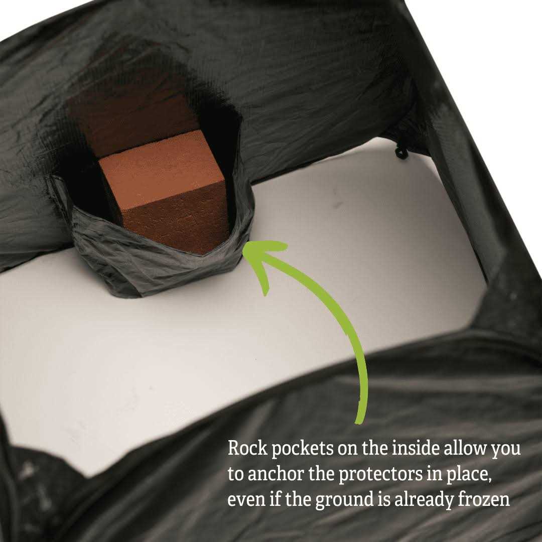 Gardener's Supply Company Pop-up Plant Protector - Image 5