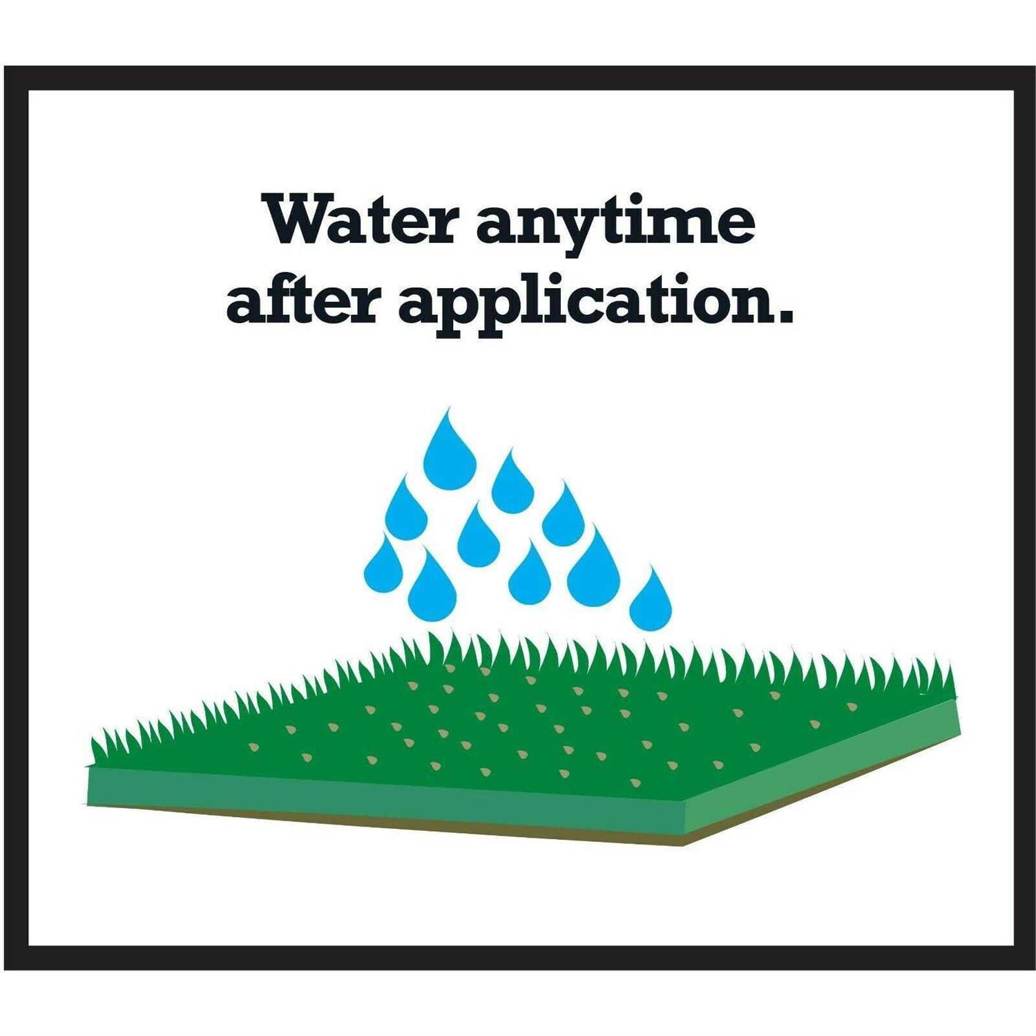 Expert Gardener Lawn Fertilizer Plus 2% Iron - Image 3